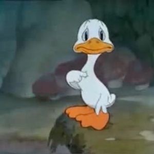 Meet your Posher, Aaron